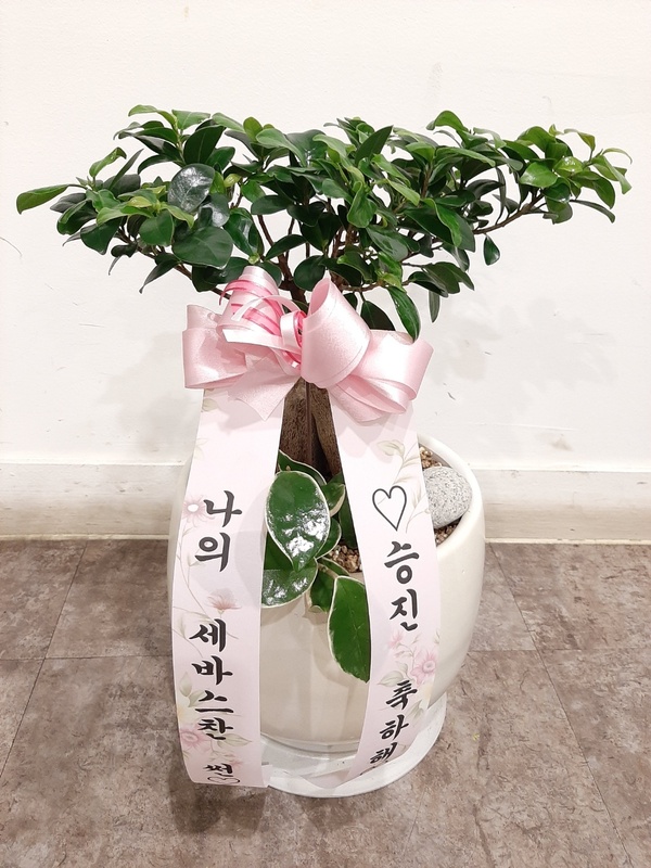 업로드 이미지