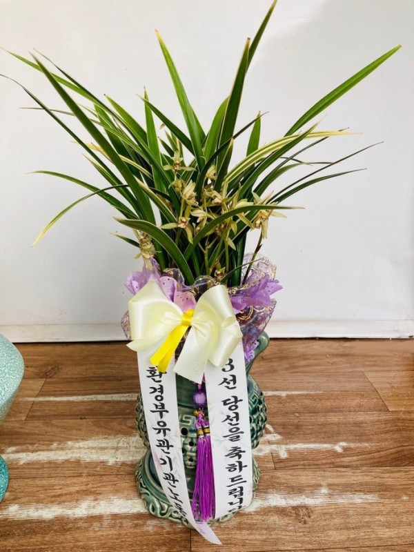 업로드 이미지