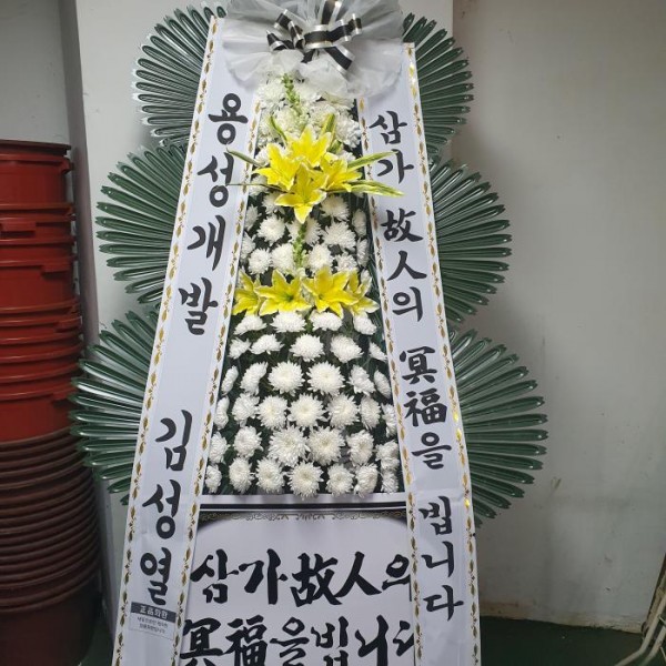 업로드 이미지