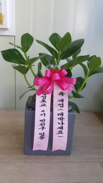 업로드 이미지