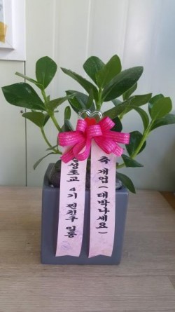 배송사진
