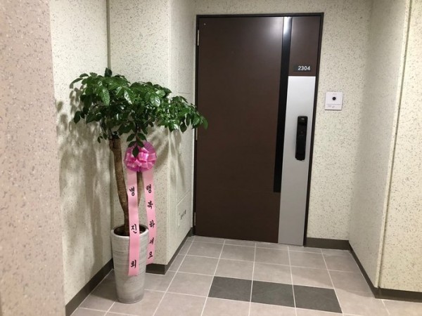 업로드 이미지