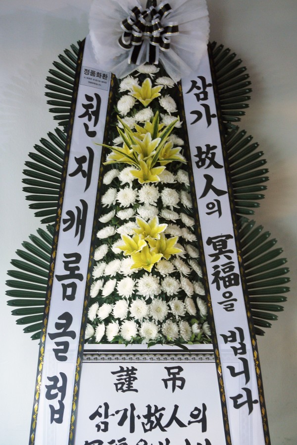 업로드 이미지