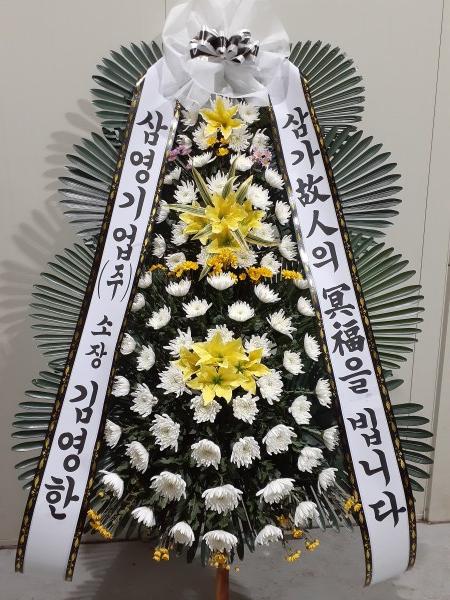 업로드 이미지