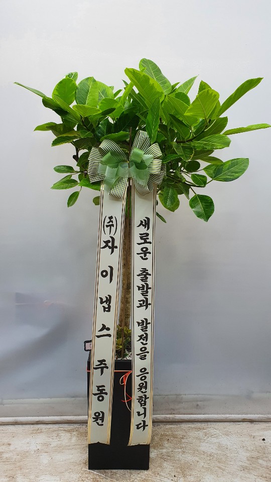 업로드 이미지