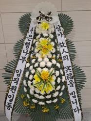 업로드 이미지