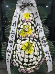 업로드 이미지