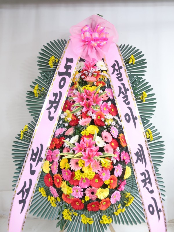 업로드 이미지