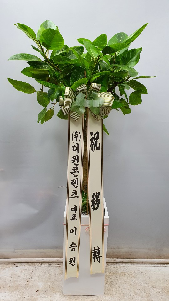 업로드 이미지