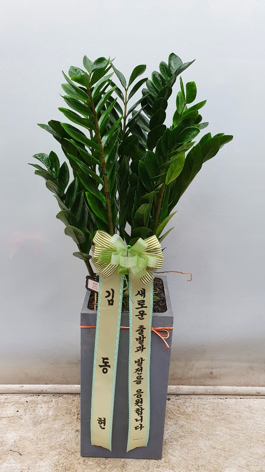 업로드 이미지