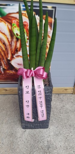 배송사진