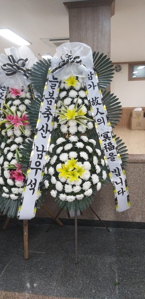 업로드 이미지