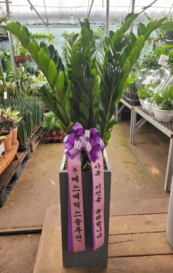 업로드 이미지