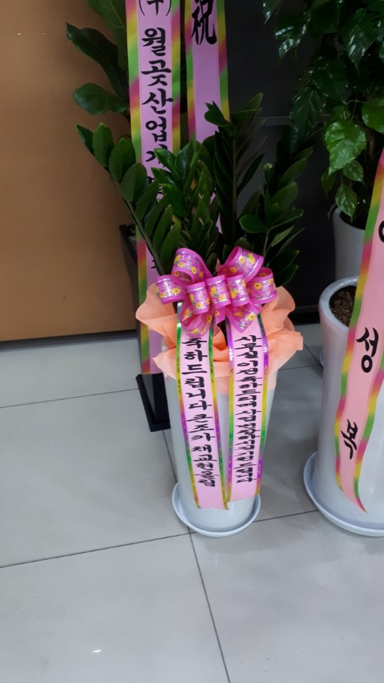 업로드 이미지