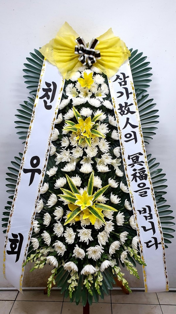 업로드 이미지