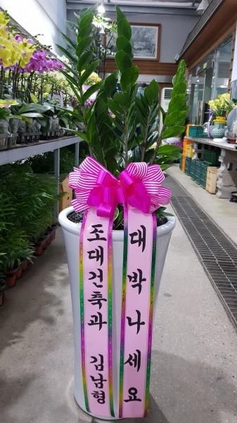 업로드 이미지