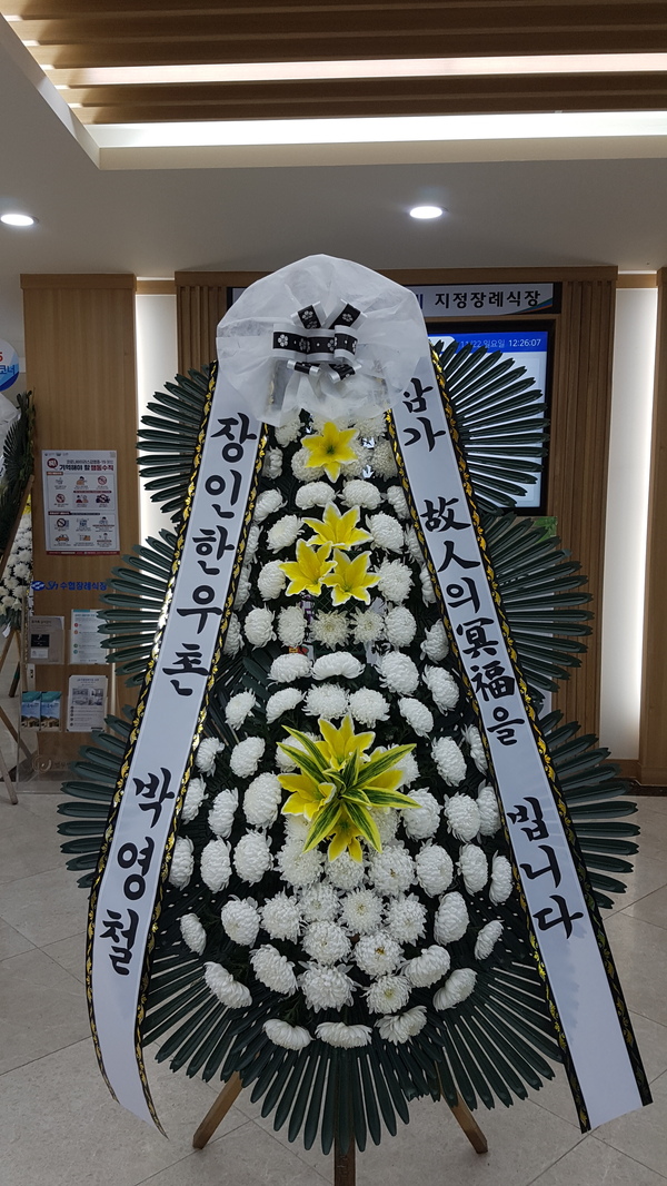 업로드 이미지