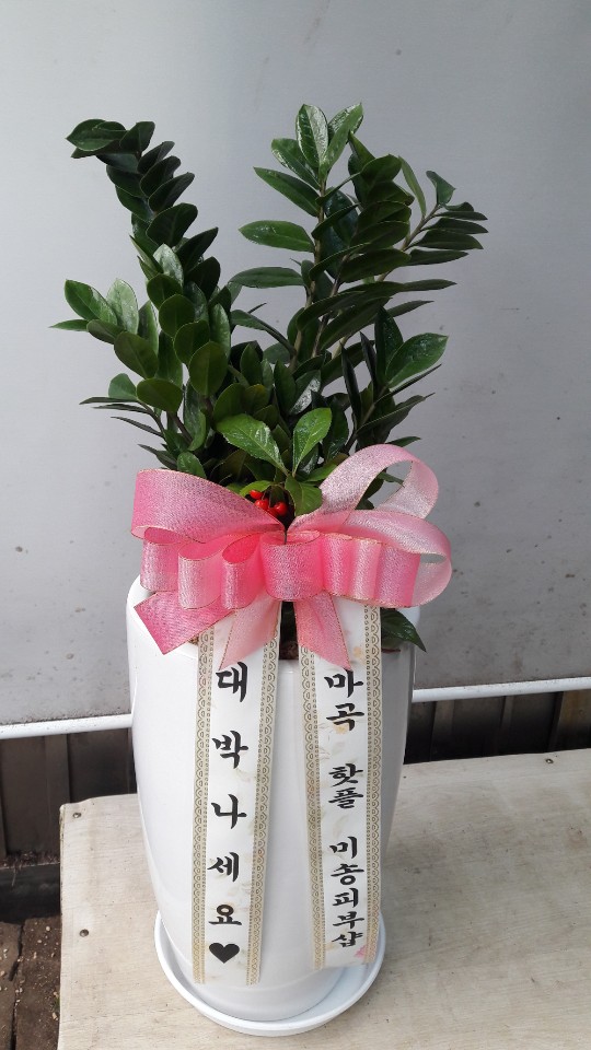 업로드 이미지