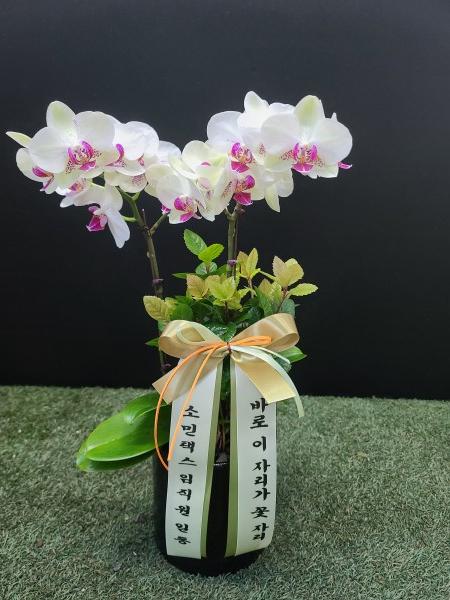 업로드 이미지