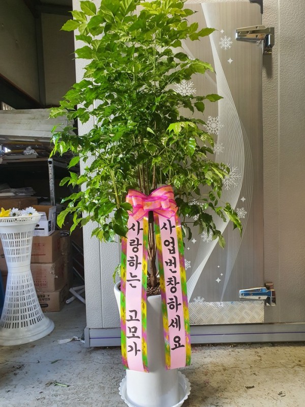 업로드 이미지
