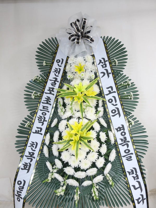 업로드 이미지