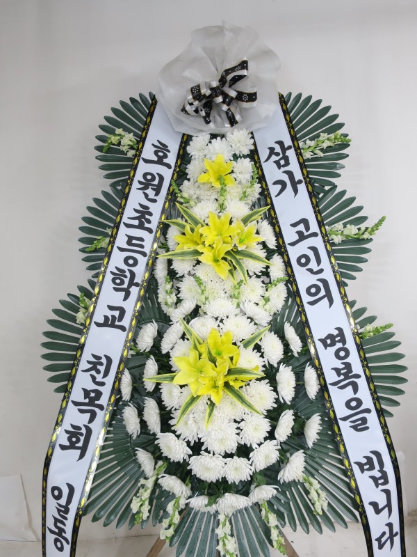 업로드 이미지