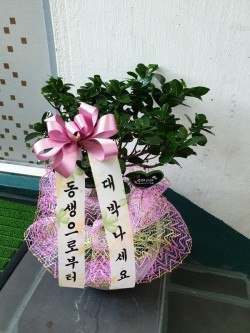 배송사진