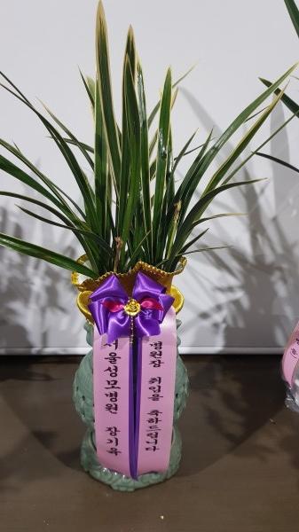 업로드 이미지