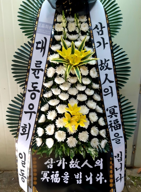 업로드 이미지