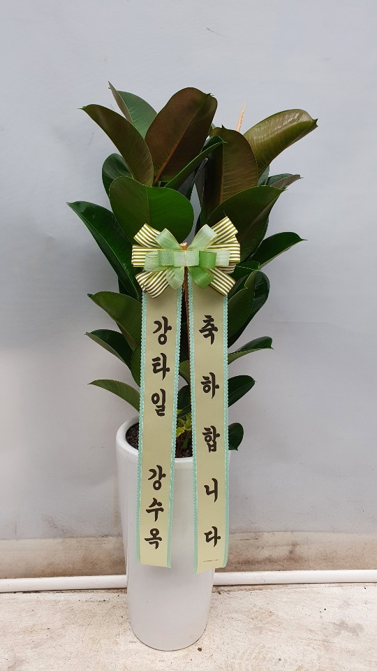 업로드 이미지