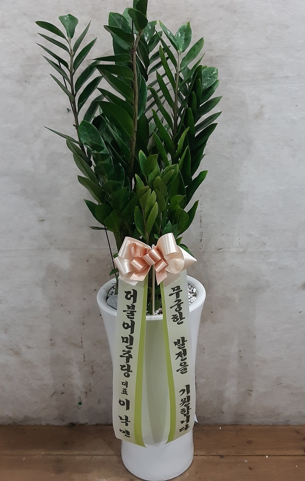업로드 이미지