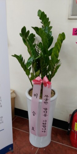배송사진