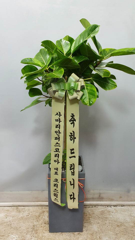 업로드 이미지
