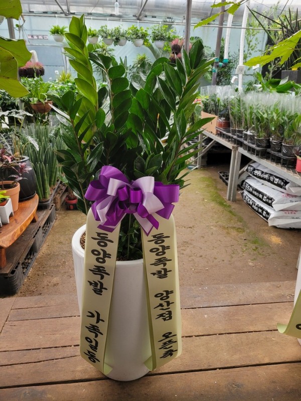 업로드 이미지