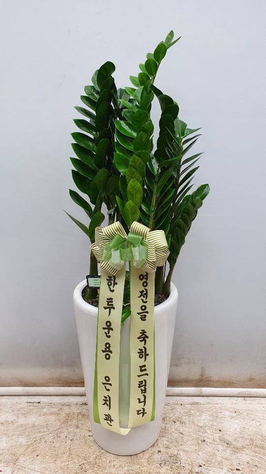 업로드 이미지