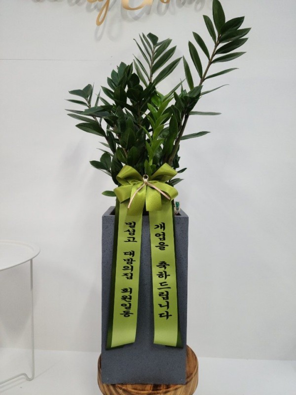 업로드 이미지