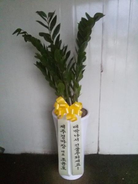 업로드 이미지
