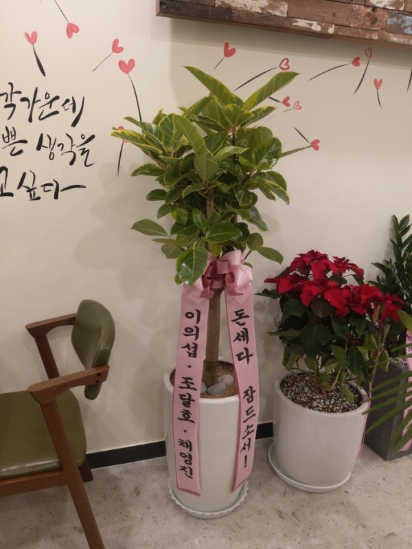 업로드 이미지