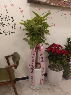 배송사진