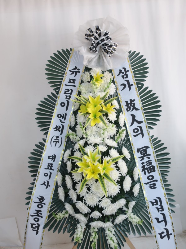 업로드 이미지