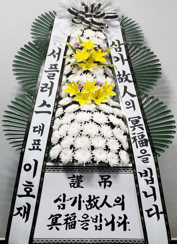 업로드 이미지