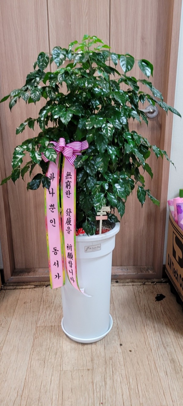 업로드 이미지