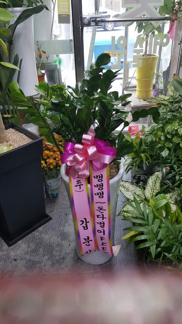 업로드 이미지