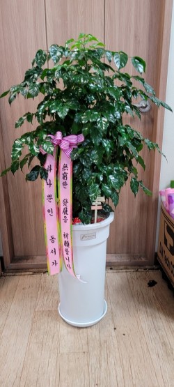 배송사진