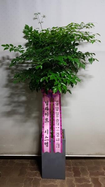 업로드 이미지