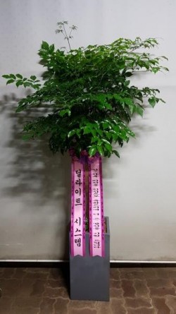 배송사진