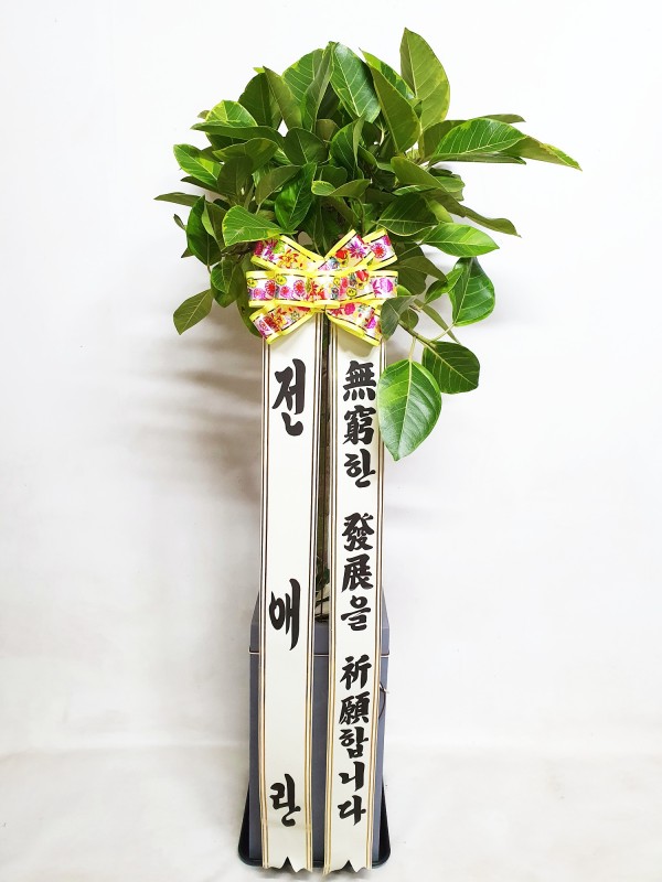 업로드 이미지