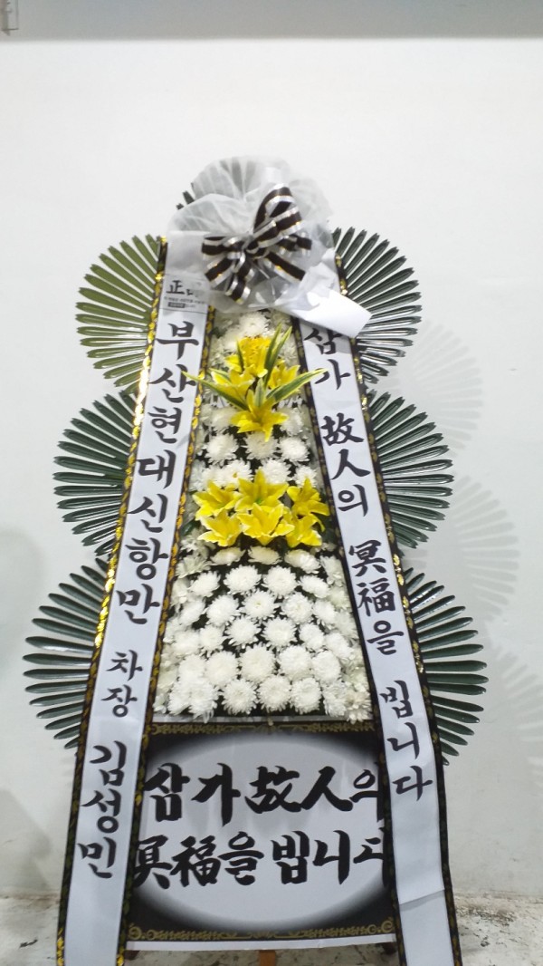 업로드 이미지