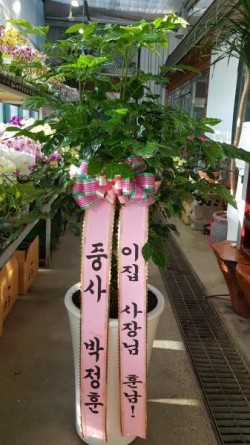 배송사진