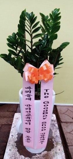 배송사진